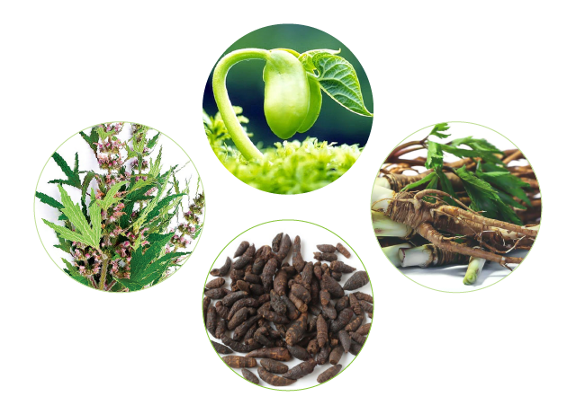 Dưỡng Sắc Điều Kinh [Hộp 30 viên]